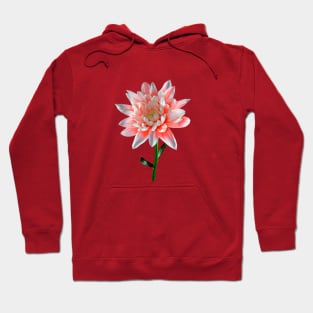 Fleur Hoodie